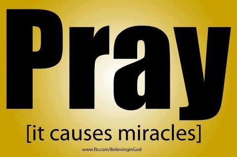 539969_342522672469924_175655829156610_859106_605017698_n