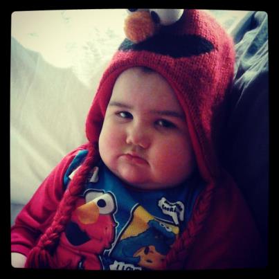 487997_436897383059561_1395344448_n